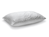 Swift Pillow (2 Pack)